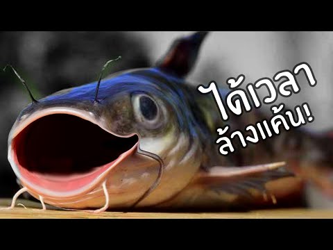 เกม ป ก ต ล า ที่ศาลเจ้าสยอง(มั้ง) | 3 เกมฟรี 76