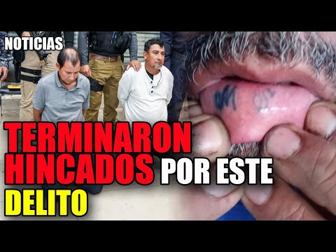 🔴 Hector Silva ESTA ACABADO "Sin plata"  | PANDILLEROS TERMINARO HINCADOS por la Policia