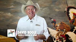 MONAH Virtual Tour with Founder, David Bogle (English)