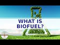 Understanding Biofuels and Their Impact
