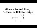 Understanding Rooted Trees