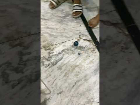 Lattu #viralvideo #arunkapoor #kids #kidsvideo #games #bachaparty