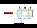 Light Behavior in Solutions and Suspensions