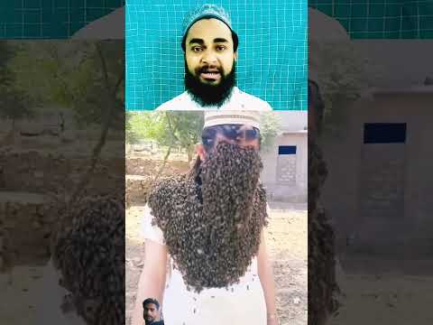 kurane Pak ki tilawat#