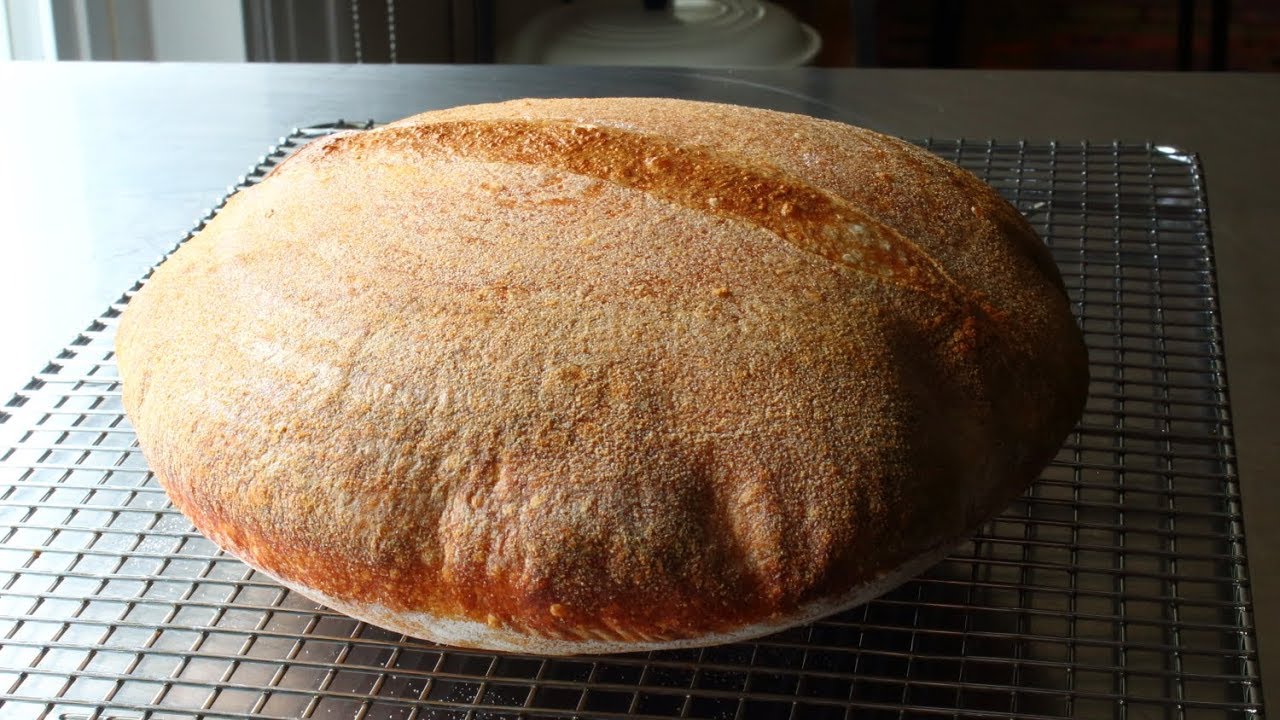 Sourdough Bread - Part 1: The Starter