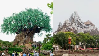 Disney's Animal Kingdom 2026 Summer Day Sights & Sounds in 4K | Walt Disney World August 2026