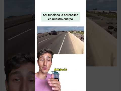La adrenalina👆🏽