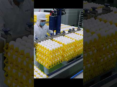 Automated egg washing and inspection process. taiwan egg factory #Shorts