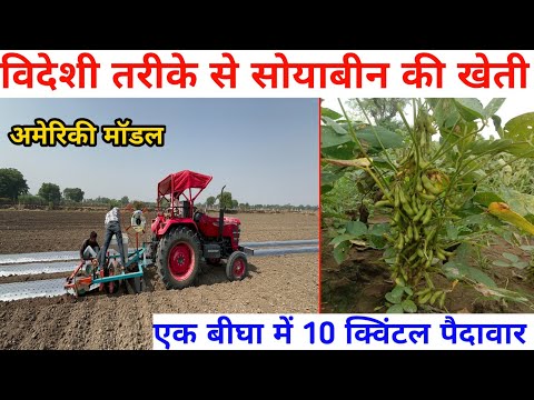 विदेशी तरीके से करें सोयाबीन की खेती, फिर होगी 1 बीघा में 10 क्विंटल पैदावार 💸 // Soyabean farming