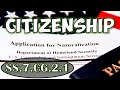 Understanding US Citizenship