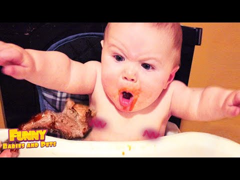 Cute but Silly Babies Do Funny Things will Melt Your Heart | Funny Baby And Pets