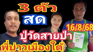 สด 3ตัว ปู่วัดสายป่า พี่บ่าวเมืองใต้ 16/8/68