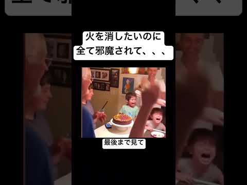 火を消したかった子#shorts #reels #instagram