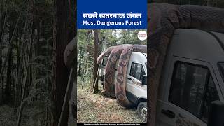 सबसे खतरनाक जंगल | Most Dangerous Forest on Earth #shorts #jungle #amazonjungle