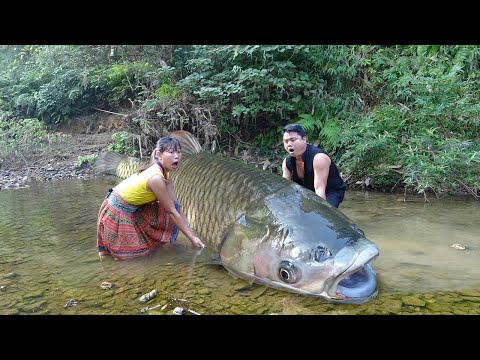 Primitive Life: Unique Hand Fishing Catch Big Fish - Cooking Big Fish For Survival