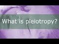 Pleiotropy and Phenylketonuria Concepts