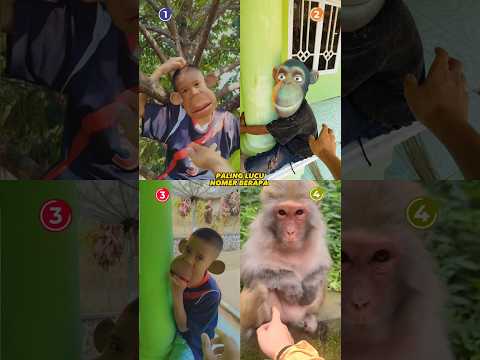 paling lucu nomer berapa #comedy #funny