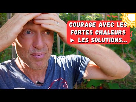 L'enfer des fortes chaleurs au potager (et pour le jardinier !)