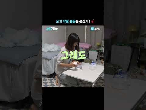 우리집 모기 씨를 말려버린 '이것'의 정체🔎 #shorts