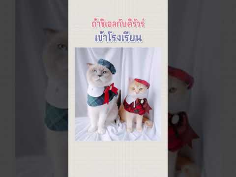 ถ้าชิเอลกับคิรัวร์เข้าโรงเรียนจะเป็นยังไง | ชิเอลแมวมึน
