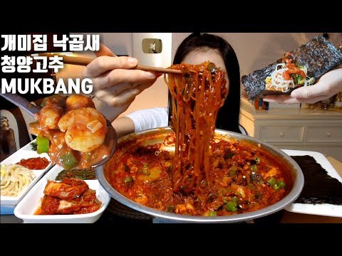 [ENG]개미집 낙곱새 청양고추 오징어젓갈 먹방 mukbang spicy seafood hot Pot Korean eating show mgain83