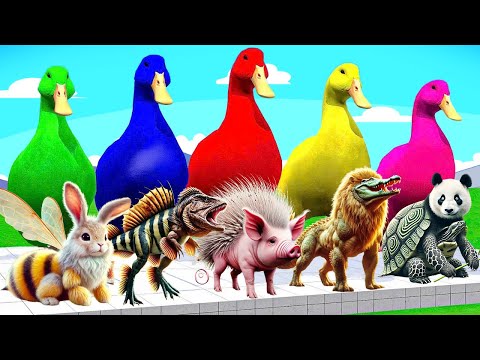 5 Giant Duck Cartoon,Pig,Mammoth,Tiger,Lion,Dinosaur,Paint Wild Animals Crossing Fountain Animation