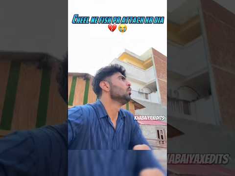cheel ne fish pr attack kr dia 💔😭 #shermaindehat #turabandsabtain #vidioediting #edits