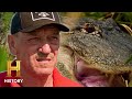 Challenges and Strategies in Alligator Hunting