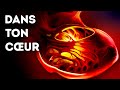 Fonctions et Rôles du Cœur