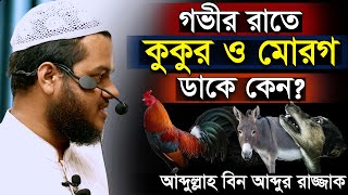 ফেরেশতাদের অস্তিত্ব সম্পর্কে | আব্দুল্লাহ বিন আব্দুর রাজ্জাক | abdullah bin abdur razzak