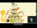 Energy Flow in Ecosystems