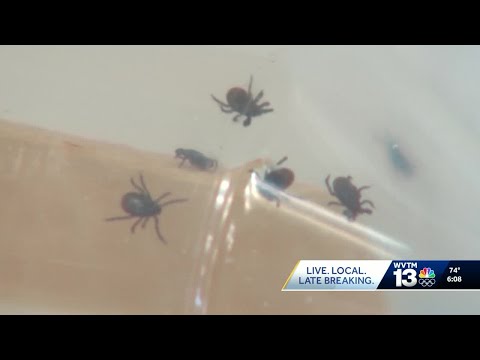 YouTube video thumbnail: Tick Bites on the Rise Across the Country