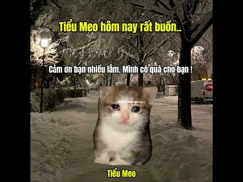 Bạn có thể dừng lướt để kết bạn với Tiểu Meo không...? #cat #meme