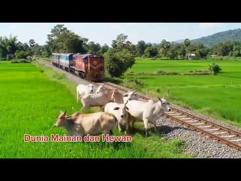 Kereta Api
