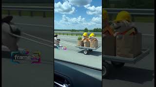 Lets go shopping bro