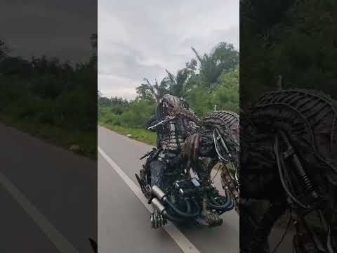 stop at police station#predatorthailand #funny