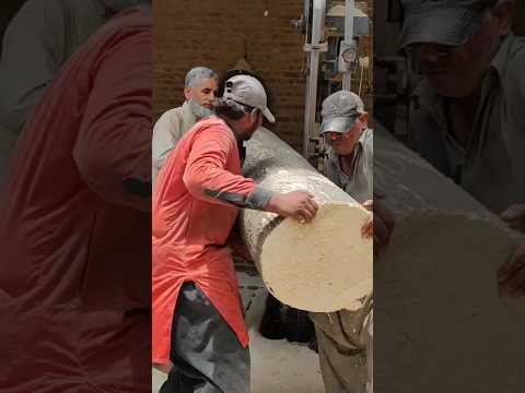 Cricket Bat #asiacup2023 #pakvsind #cricketbat