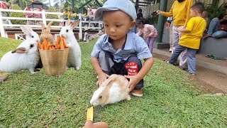 Kasih makan kelinci di taman bermain cimory dairyland. Feed the rabbits on the playground