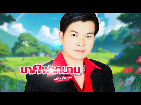 เพลง แหล่นาคฝากนาม ทศพล หิมพานต์ LYRICS VIDEO พร้อมเนื้อเพลง