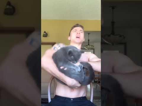 cheap shot Ivan Tik tok by Garrett Nolan #shorts