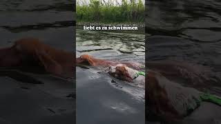 Mein Pflegi wurde zurück gegeben 😭