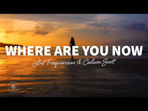 Lost Frequencies & Calum Scott - Where Are You Now (Lyrics)