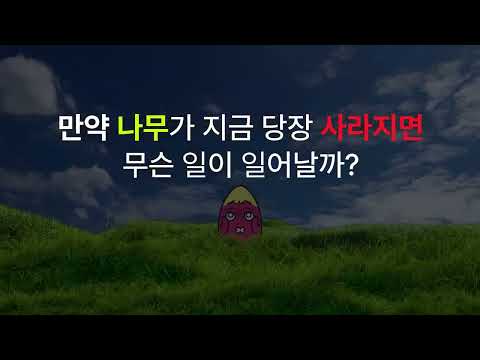 만약 전 세계 모든 나무가 사라지면 인류는 얼마나 생존할 수 있을까?