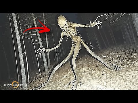 5 Misteriosos y Raros Momentos Captados en Cámara Parte 6 / Fantasmas y Criaturas / TERROR REAL 2025