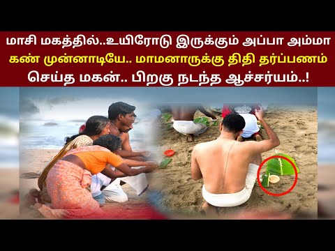 மாசி மகத்தில் அப்பா அம்மா கண் முன்பு மாமனாருக்கு திதி குடுத்த மகன் பிறகு நடந்த ஆச்சர்யம் | ThiraiPan