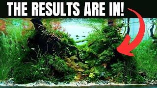 MY FIRST EVER IAPLC CONTEST AQUASCAPE! Here's What Happened