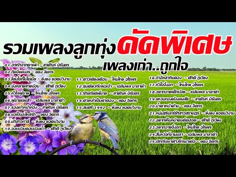 รวมเพลงลูกทุ่งเก่าคัดพิเศษ