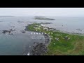 Viking Site Discovery and Significance