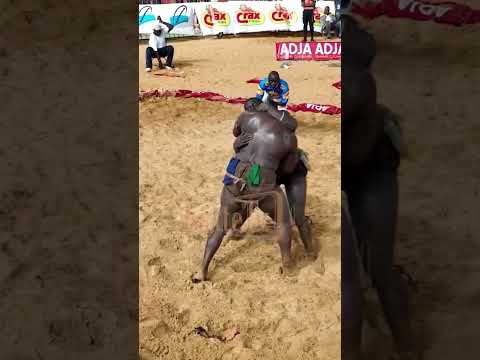 Le combat de la Couronne de l’Empereur. Balla Gaye II vs Tapha Tine vu du ciel, en HD. #shorts #bg2