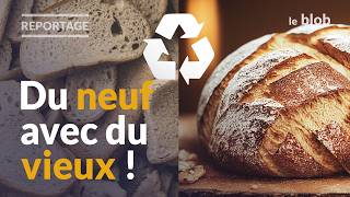 Recycler le pain invendu, une solution pour éviter le gaspillage | Reportage